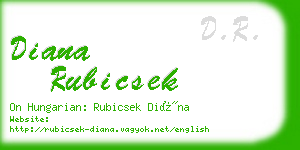 diana rubicsek business card